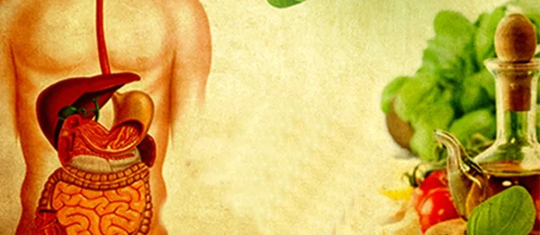 What is Virechana Panchakarma And Who Should Take It?