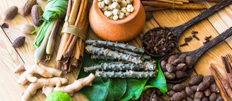 Pain Relief Made Simple: Top Ayurvedic Therapies You Can Try Without Going Out
