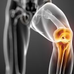 Kukundara Marma: Location, Structure, Injury Effects and Ayurvedic View