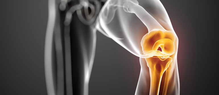 Kukundara Marma: Location, Structure, Injury Effects and Ayurvedic View