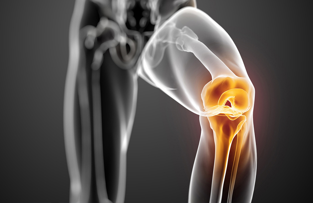 Kukundara Marma: Location, Structure, Injury Effects and Ayurvedic View